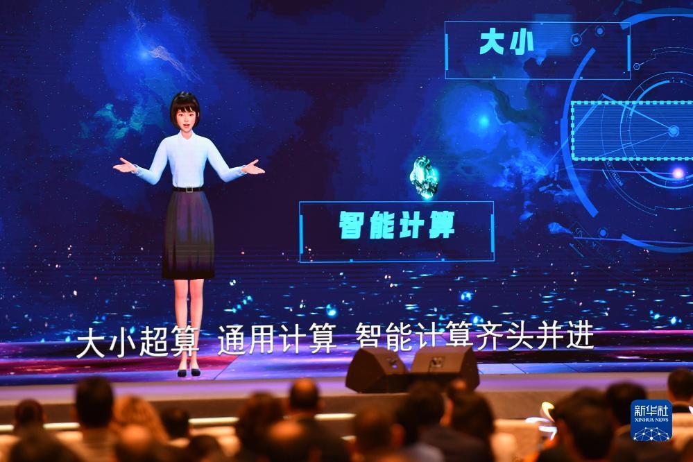 百家乐大网站